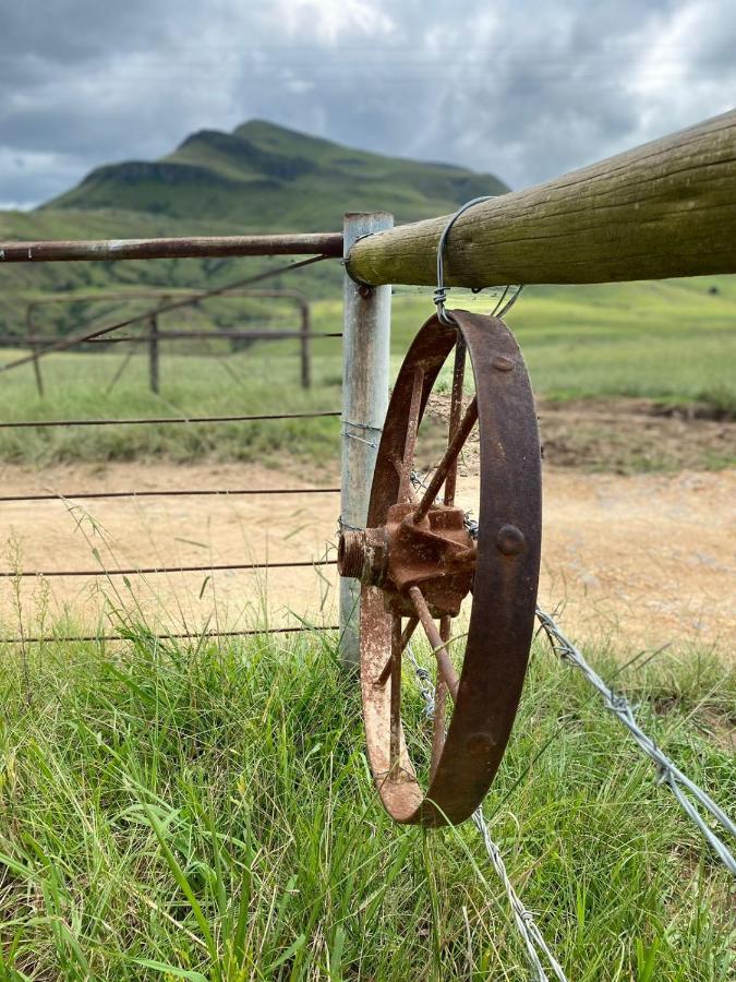 Redversdale- 4 X 4 Recommended Underberg